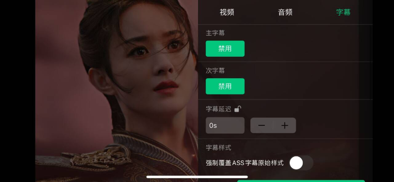 字幕编码选择截图